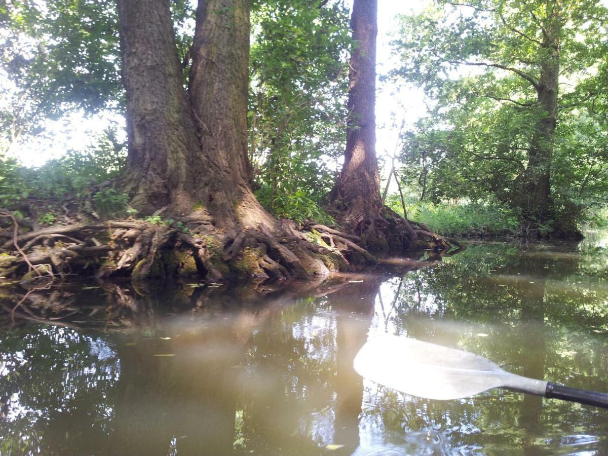 Doppelzimmer Im Spreewald ブルク エクステリア 写真