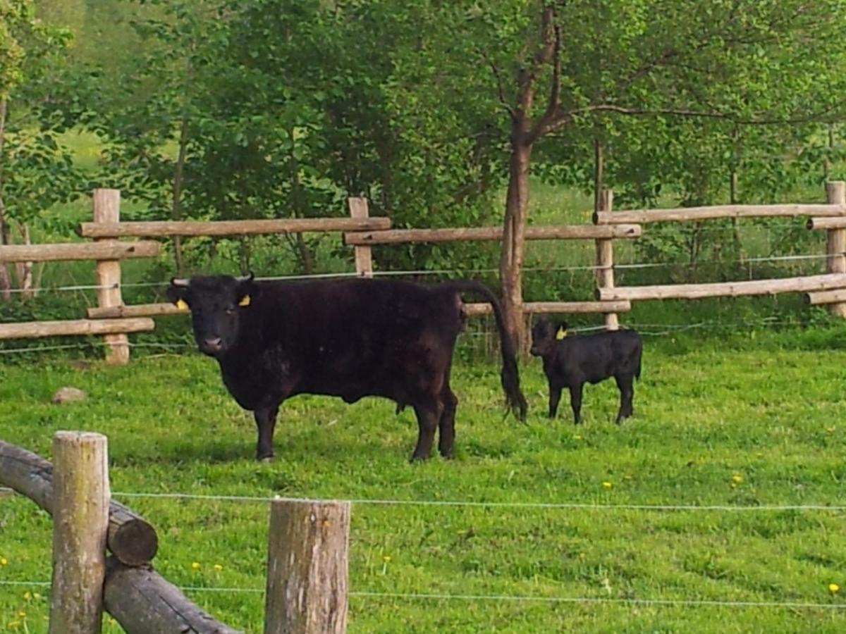 Doppelzimmer Im Spreewald ブルク エクステリア 写真